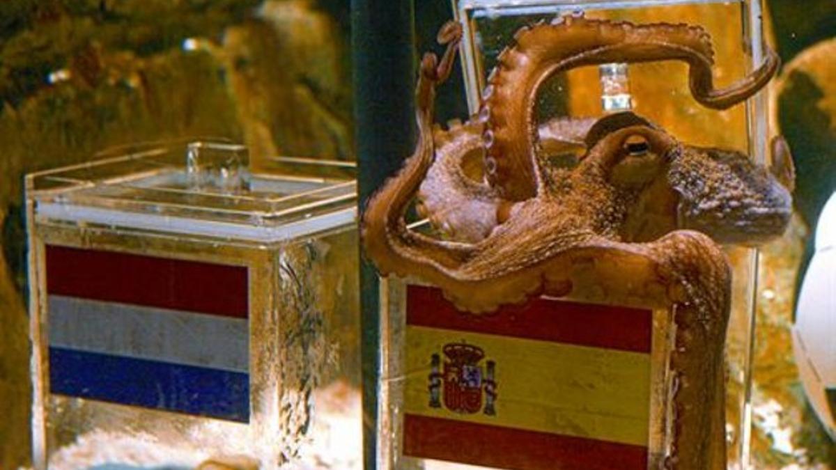 Jmrrc9's tweet photo. @CaadeOKC El único espécimen inteligente fue esta leyenda https://t.co/FFKjgr6XiW