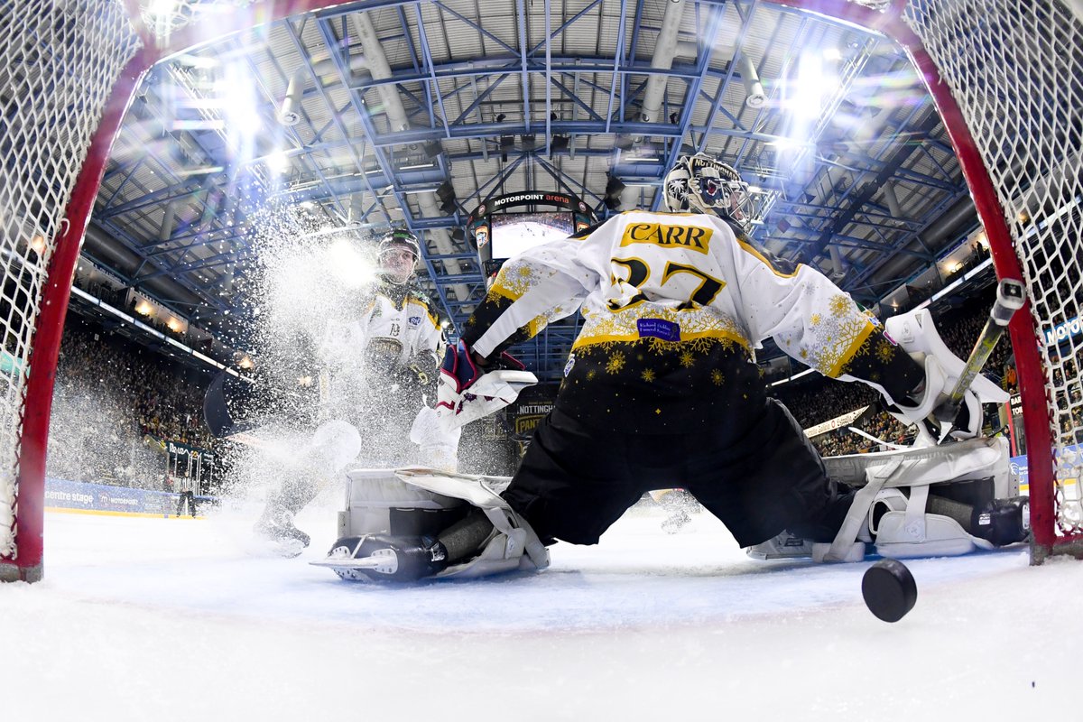 Panthers Images tweet media