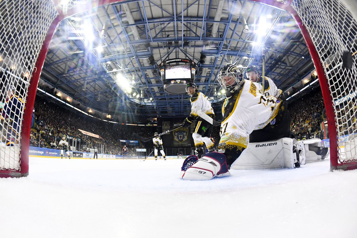 Panthers Images tweet media