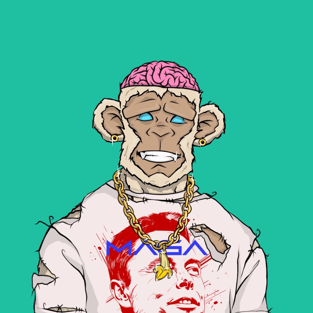 buckydientes tweet media