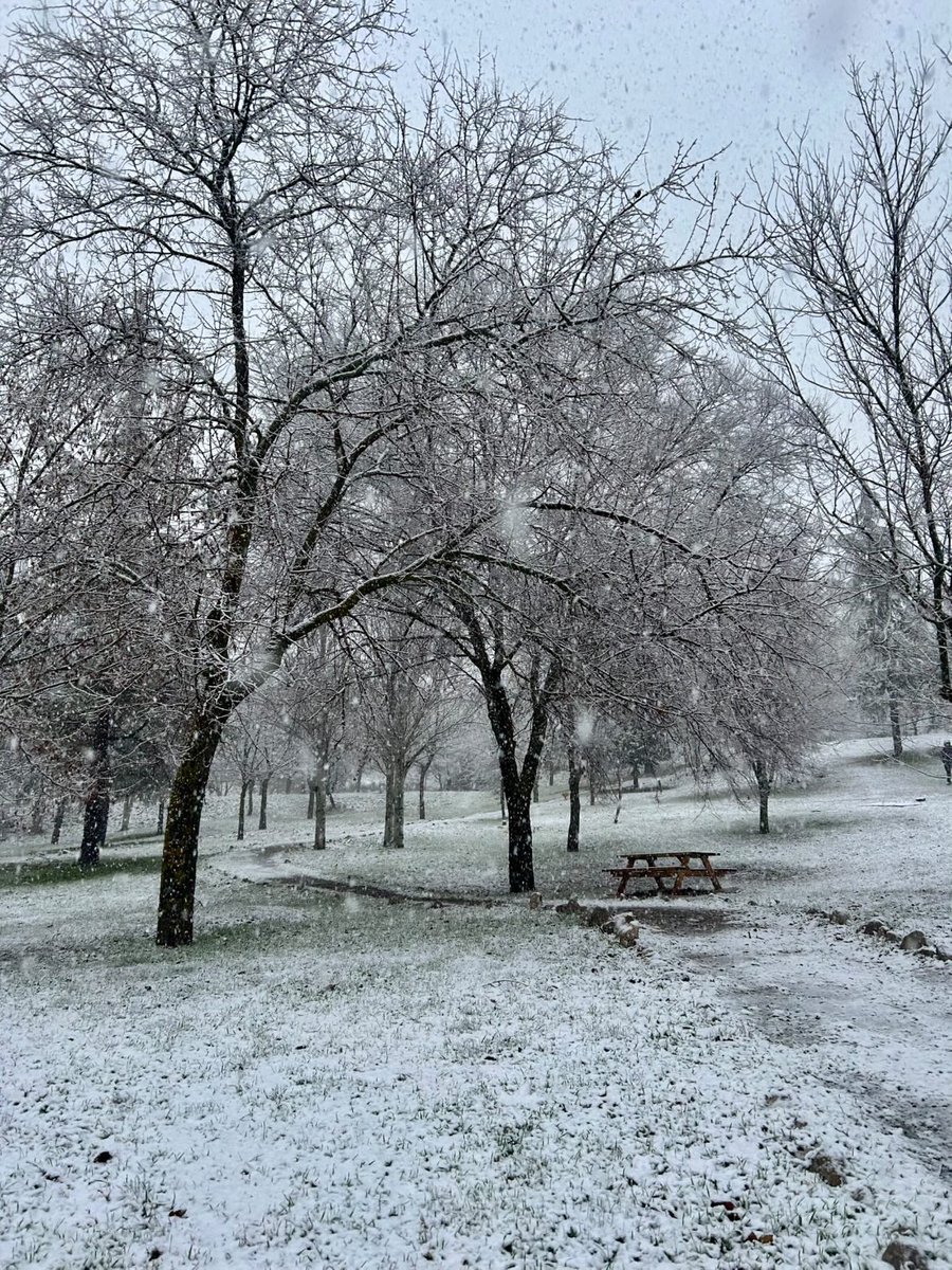 Granada_Meteo's tweet photo. Imágenes de Beas de Granada (@rociobeas ) https://t.co/XAGoLRcBOa