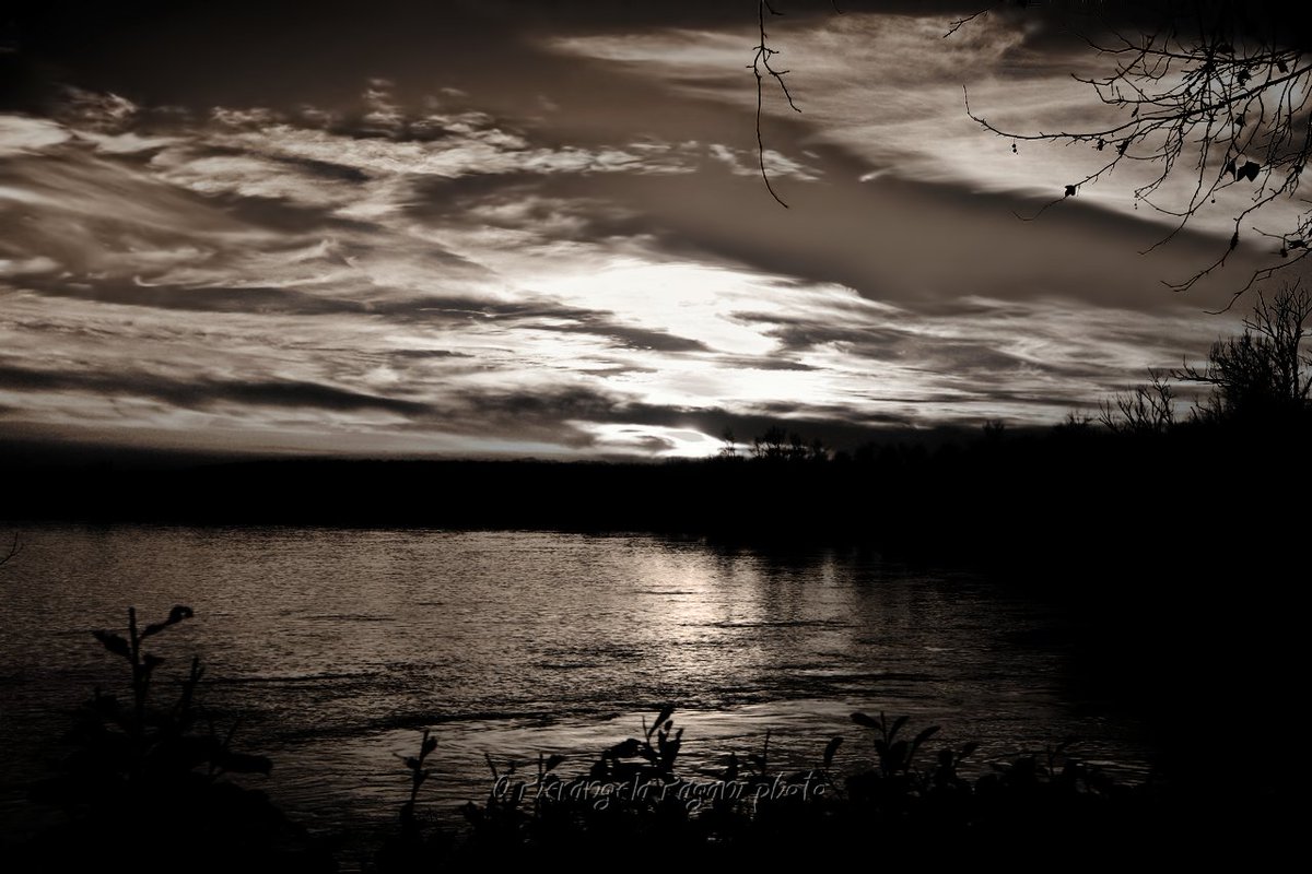 @ferrarisergio4 tweet media