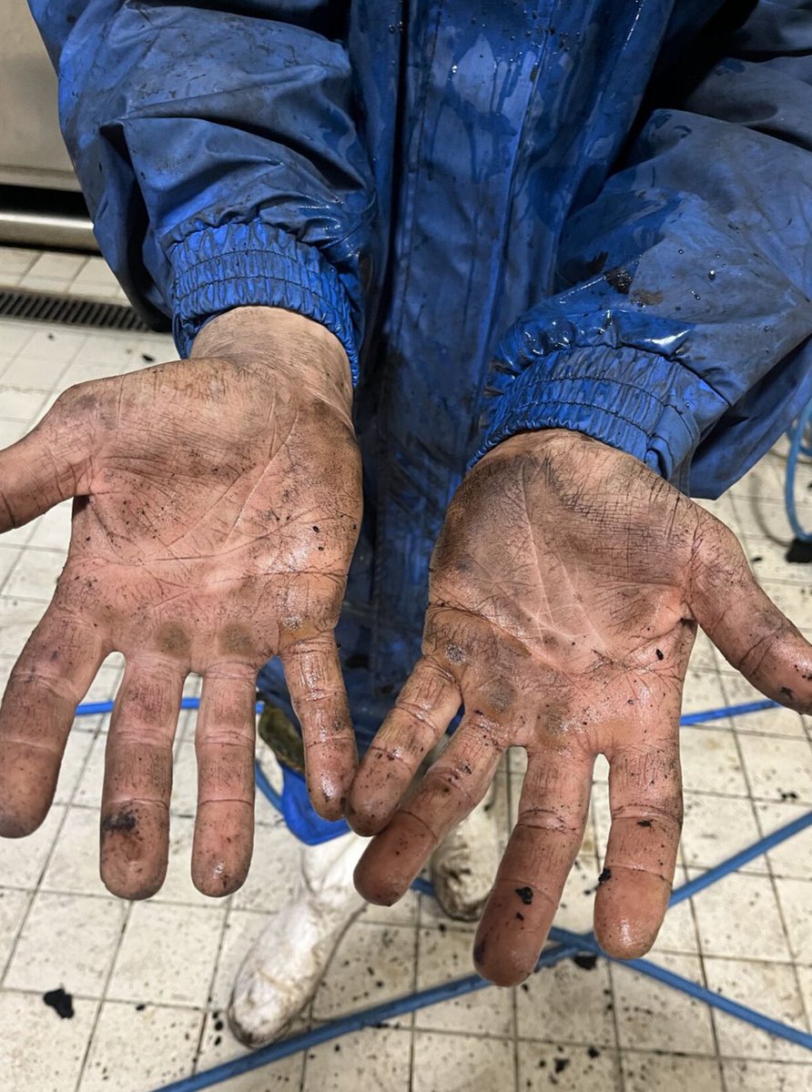 Frenkie_Woody's tweet photo. Altro che influencer, OnlyFans e Digital Creator… 
Le cose vanno avanti soprattutto grazie al lavoro, al duro sacrificio, quello che fa sudare e venire i calli nelle mani.
Dobbiamo essere GRATI ai tanti Operai, Muratori, Agricoltori, Allevatori, Spazzini…. e a tutte le categorie che, sporcandosi e rovinandosi le mani, contribuiscono a portare il cibo sulle nostre tavole e a costruire il nostro benessere.