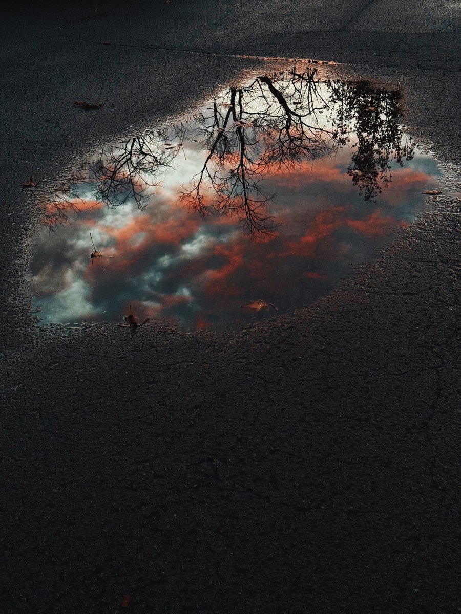 vsco's tweet image. Joe Greer has a way of finding meaning in the in-between. His street photographs capture moments that feel both spontaneous and intentional, shaped by a deep understanding of storytelling and image-making.

Learn how photographers make it with VSCO: vs.co/Jg7o/k3e80oso