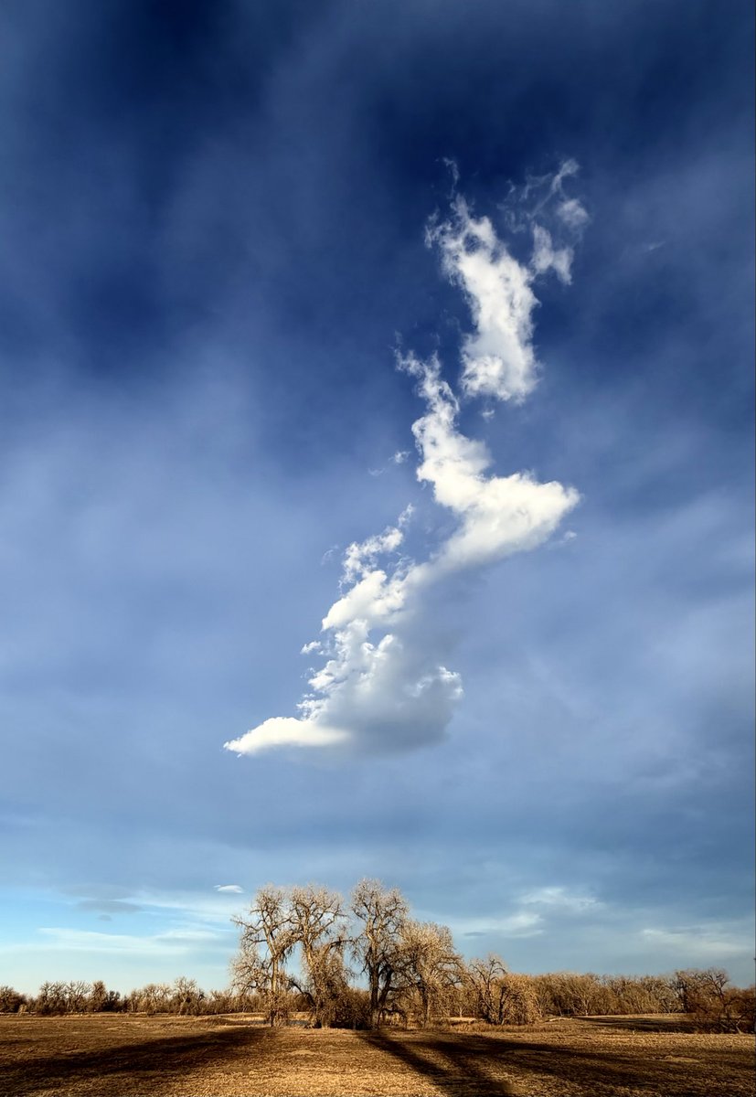 D Miller tweet media