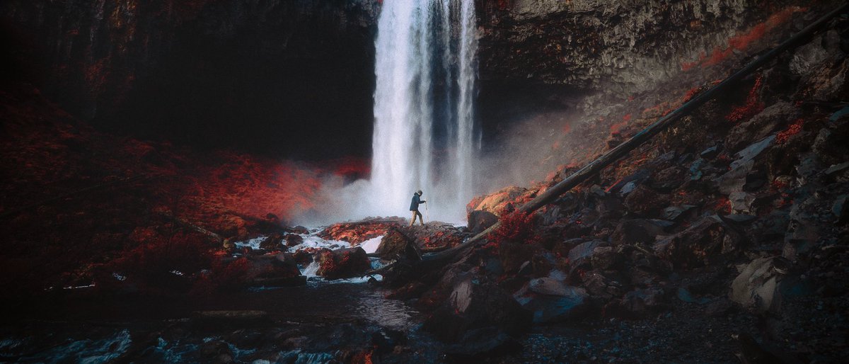 Jeff Mihaly tweet media