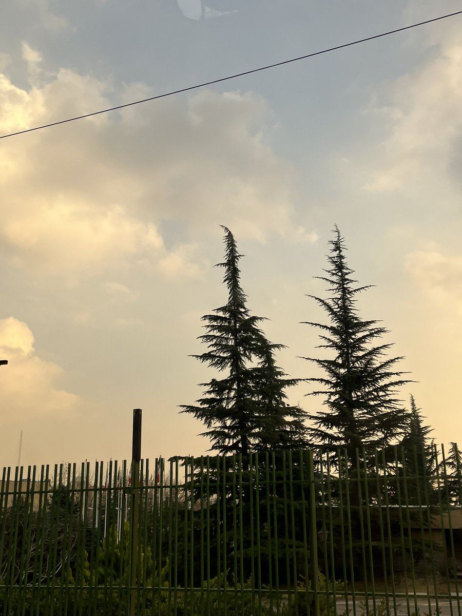 _iamnofateme_'s tweet photo. میشه گفت یه جورایی علاقه مندم به عکاسی؛
این عکسا رو هم همین یکی دو هفته گرفتم! https://t.co/BjFeJGcRGt