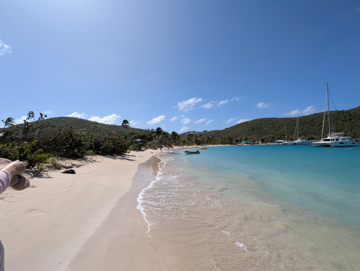 npepper101's tweet photo. Saving the best until last! #SaltWhistleBay #Mayreau #StVicentAndTheGrenadines 🇻🇨 https://t.co/jVMfvC0Ha6