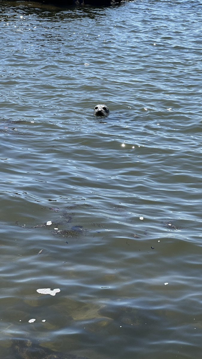 whytecliff park - may 10 2023