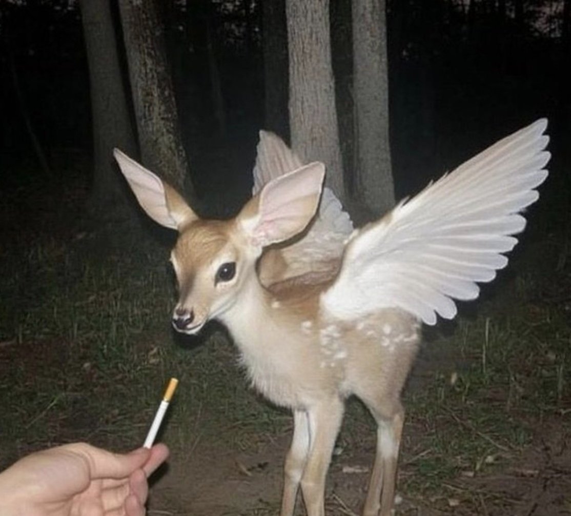 • wika • bleeeeh:P^____^ tweet media