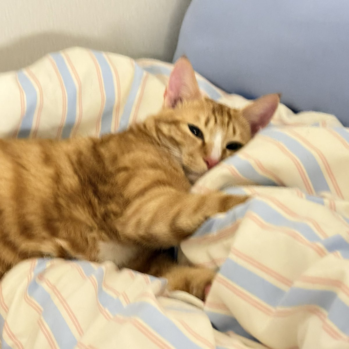 내가 나쁜 놈이면 어떡하게