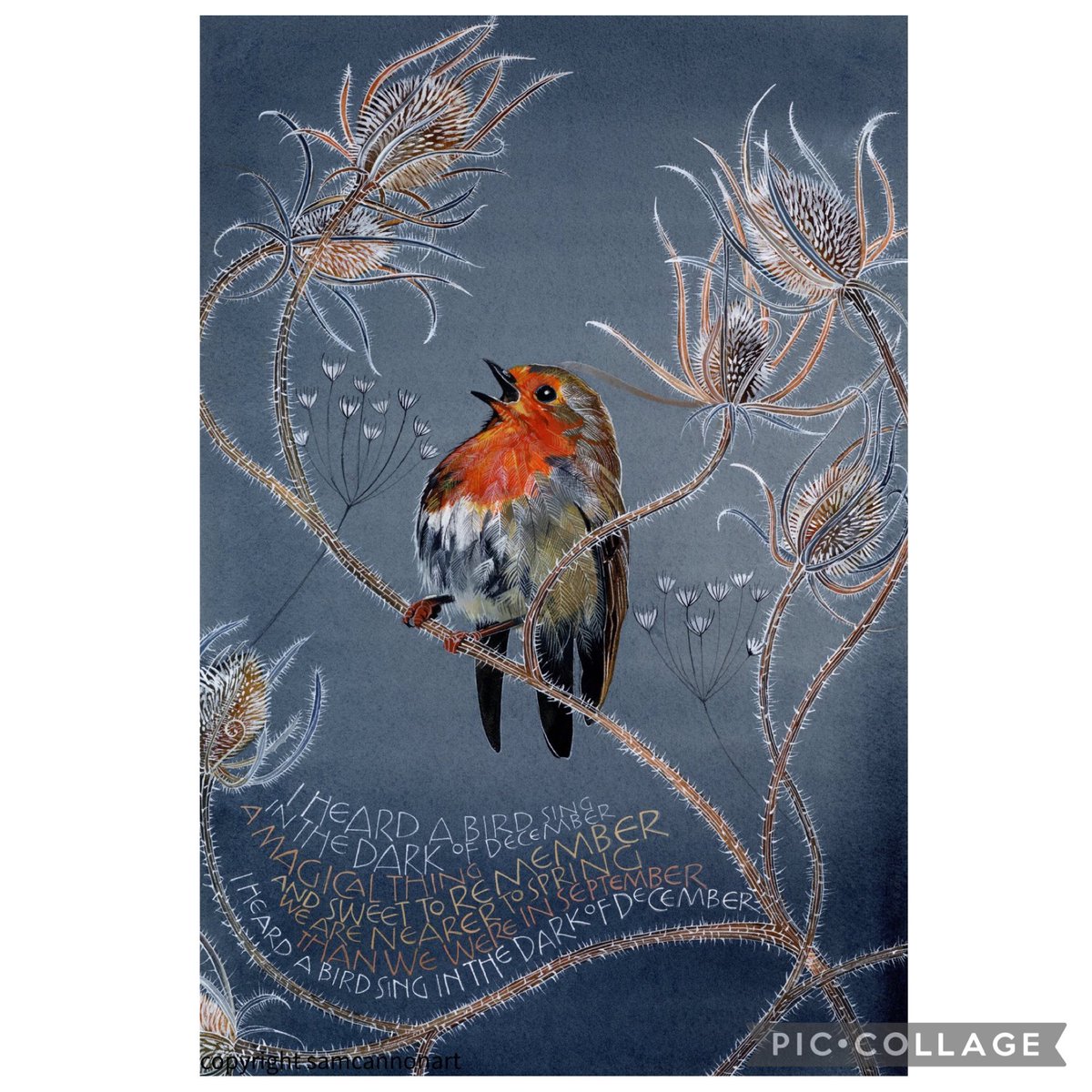 SamCannonArt's tweet photo. I HEARD A BIRD SING BY OLIVER HERFORD

I heard a bird sing In the dark of December A magical thing And sweet to remember. “We are nearer to Spring Than we are in September,” I heard a bird sing
In the dark of December https://t.co/KZ1sl0fWnO