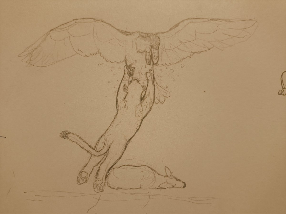 Puma saltando sobre Teratornis merriami, en el pleistoceno tardío de California