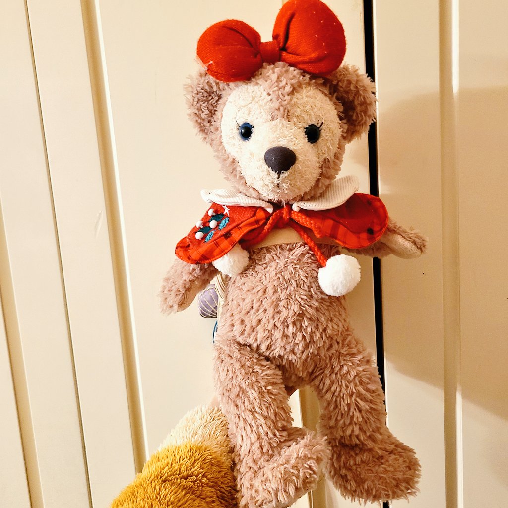 🎀🧸もう既に持ってるんだよね懐かしのDヲタモフグッズw 🎄🎁 #TDS