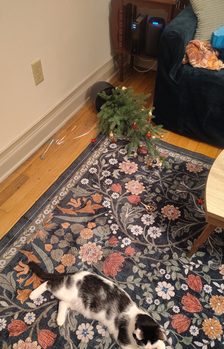 La gente sin gatos no tiene idea lo simples que son sus vidas. Solo te pido a vos, amigo sin gatos, algo de comprensión. Nunca digas "estoy a full" o "no tengo cuándo hacer esto" adelante nuestro. Díganlo entre ustedes. Pero adelante nuestro por favor no