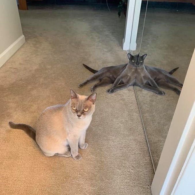 positivityofx's tweet photo. He is from upside down world https://t.co/uPGfTF27fl