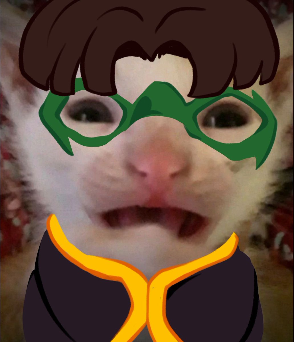 CKalaVeraM's tweet image. Robin cat edits
#DamianWayne #Timdrake #robin #dccomics