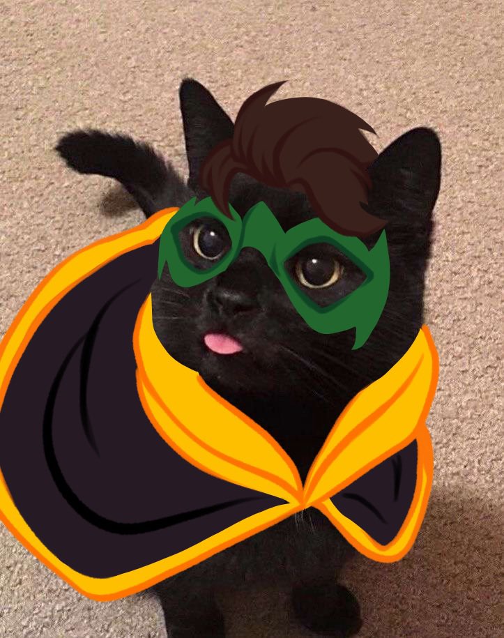 CKalaVeraM's tweet image. Robin cat edits
#DamianWayne #Timdrake #robin #dccomics