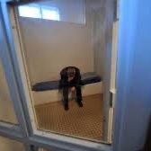 TheNews_Fr's tweet image. 🇫🇷🗳️Le maire de Lyon, Grégory Doucet, EELV, est actuellement en garde à vue dans le cadre d’une enquête pour détournement de fonds publics portant sur la gestion de chargés de mission à la mairie. 

📍Il est entendu par les enquêteurs de la brigade financière.