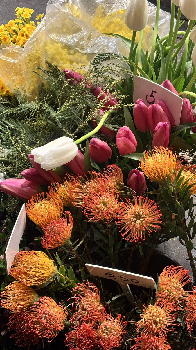 c444ro's tweet image. 