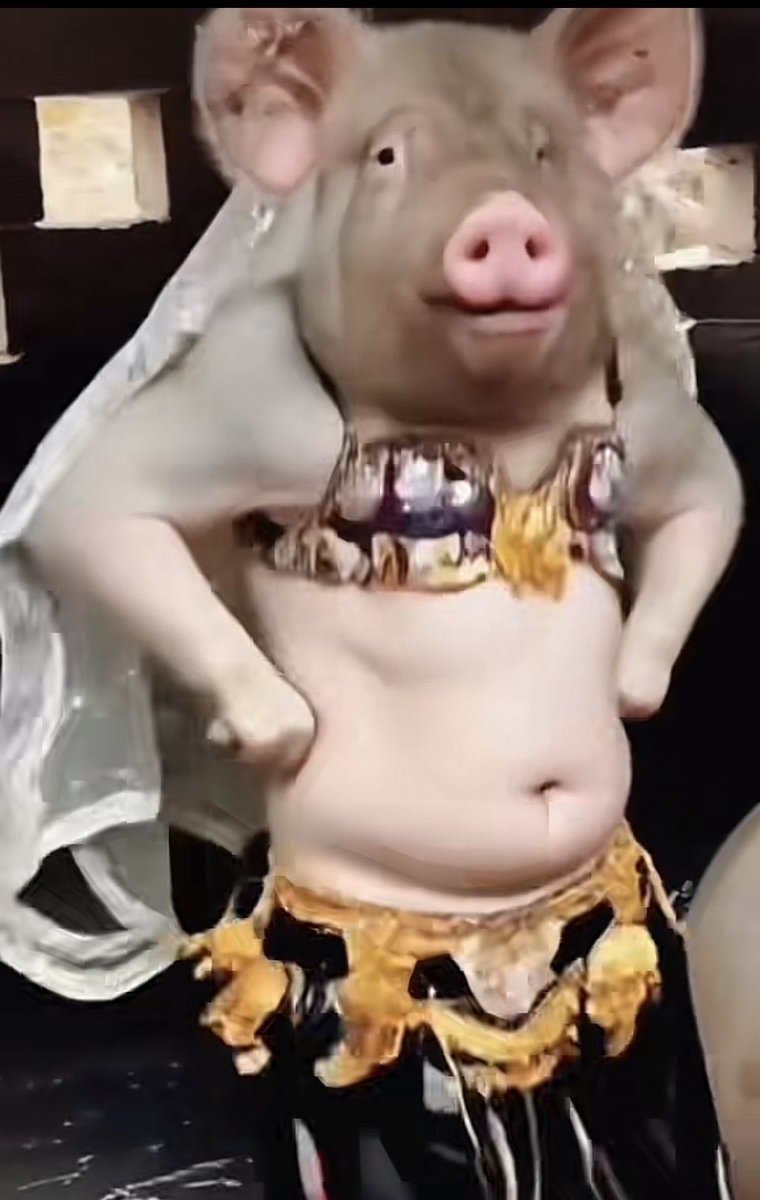 ds498899's tweet photo. @AntiWokeMemes Mohammed was a cross dresser 
Sahih Bukhari 54.2442
'A'isha. The revelation does not come to me when I am in the garment of
any woman except 'A'isha.'' https://t.co/ckcul4SPJd
