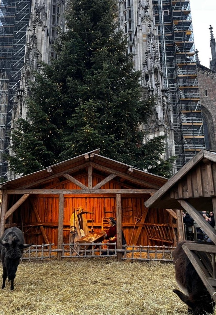 Prof Tom tweet media