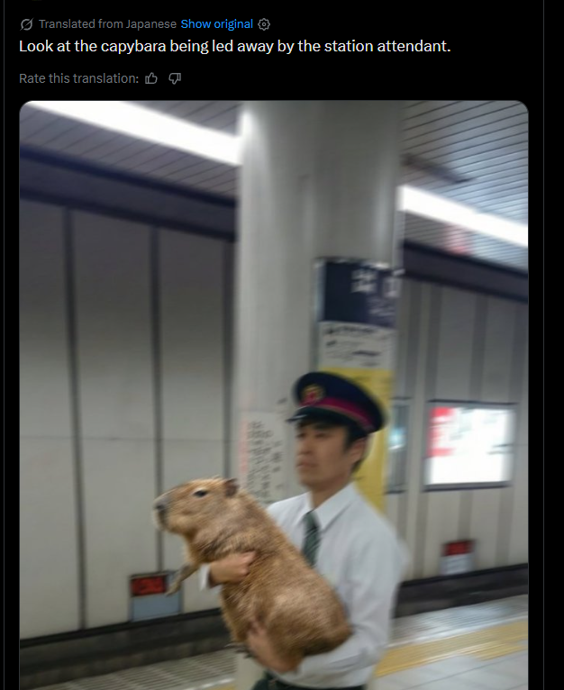 シンバ君 Huggy Good Smile 碇シンジ 制服Ver.（グッドスマイルカンパニー