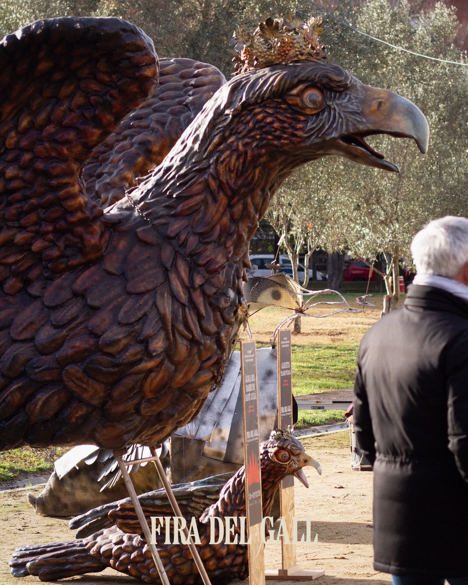 Fira del Gall tweet media
