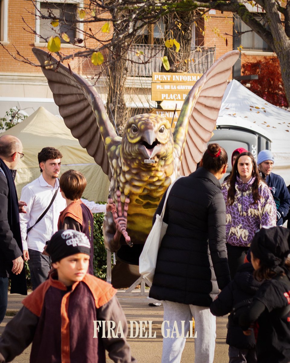 Fira del Gall tweet media