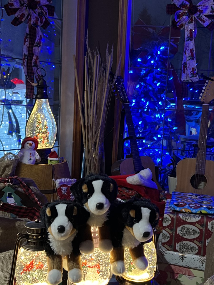 Denise13F's tweet image. Isn't this the most beautiful time of the year? Living with integrity gives me this peace all year round. 🎄
Clear conscience is easy to keep, don't steal from your mom, or dad or anyone else. Follow rules of law and you'll have peace year round. The peace that gives up the…