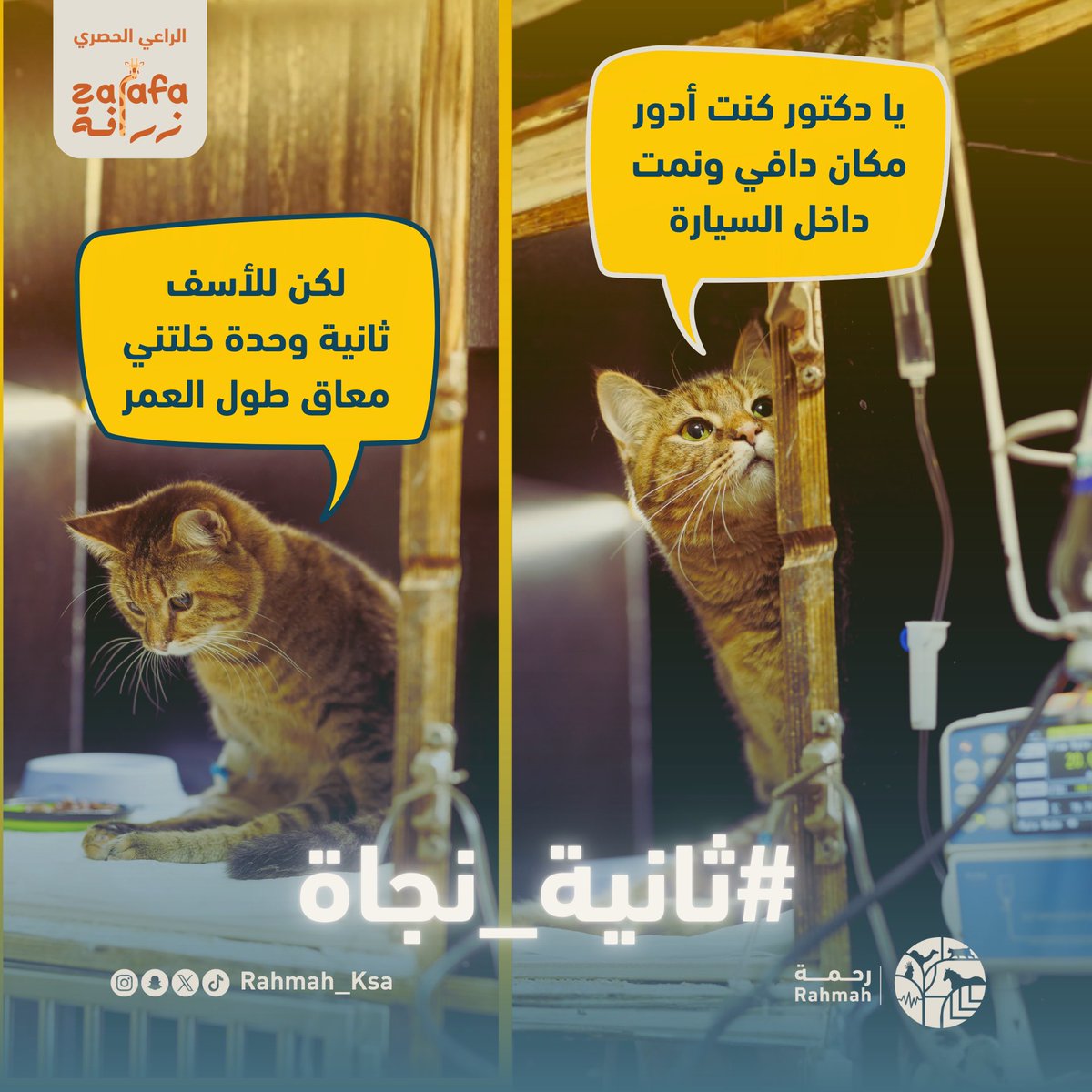 ‼️ ثانية غفلة ‼️
ممكن تخلي كائن بريء يعاني طول عمره 💔 

#ثانية_نجاة منك تحفظ روح 🐾

برعاية: متجر زرافة <a href="/zarafaksa/">متجر زرافة</a> 
للتبرع: store.rfaw.sa