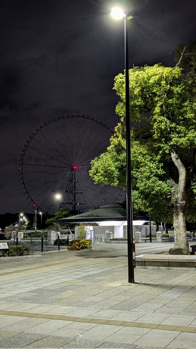 みわみわ(♡❛ ֊ ❛„)ノ🎄🎁✨ (@miwa_3739) / Posts / X