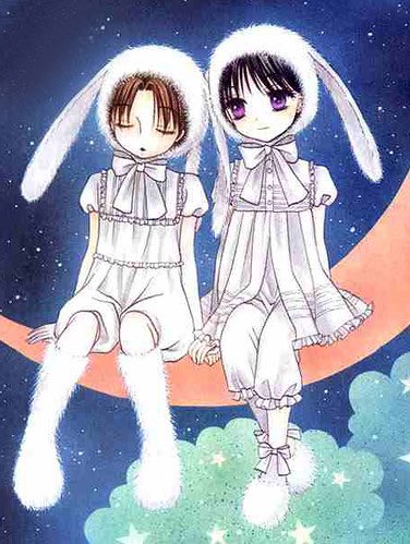 tearsofvanilla's tweet image. 