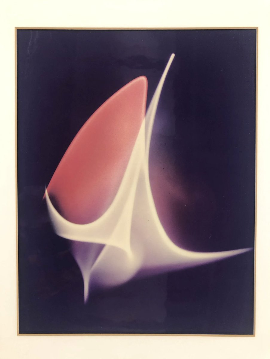 Eli Scheinman tweet media