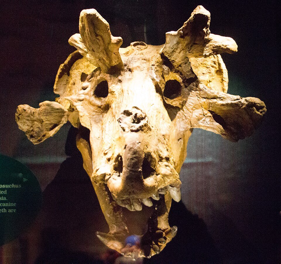 TDM_Heyzeus tweet media