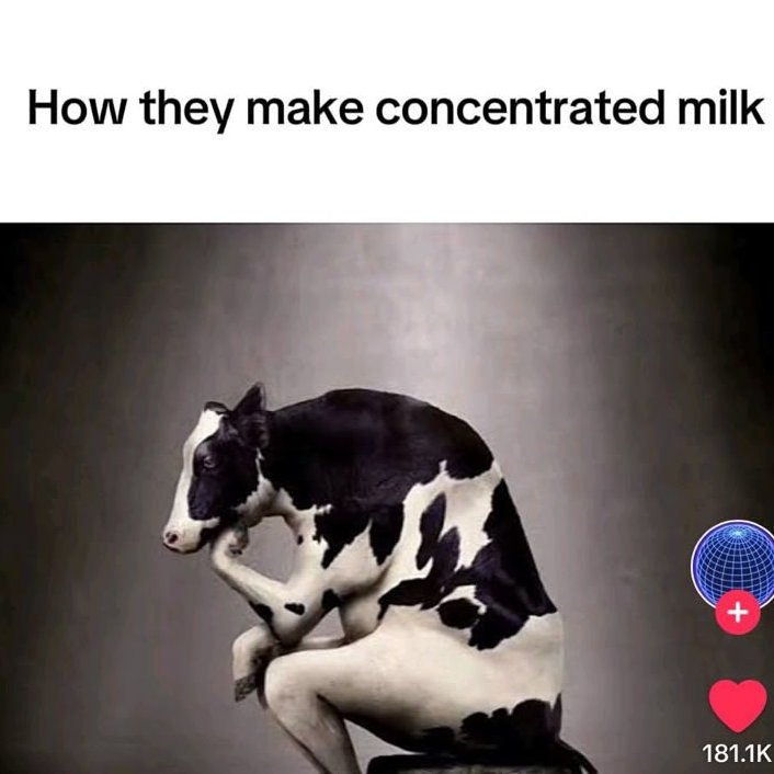 $B (@brendandagawd) on Twitter photo 