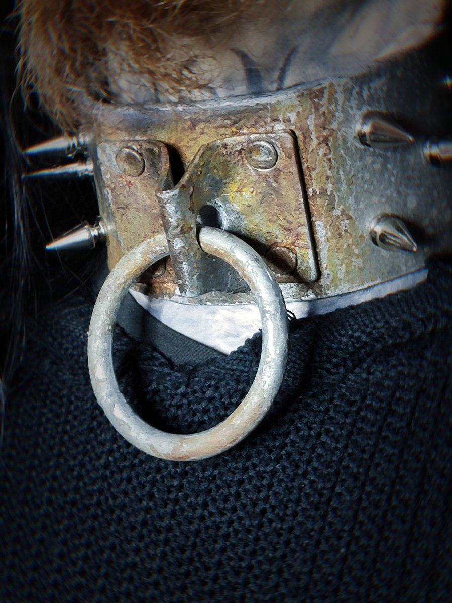 Tombthread666's tweet image. Ashen Dominion Collar - Aged Japanese Leather with Rusted Metal

(Not black it is grey/silver)
This collar is constructed from authentic aged leather sourced from Japan, paired with deliberately weathered metal hardware bearing real oxidation and rust.