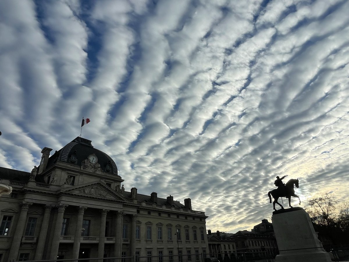 Team play tweet media