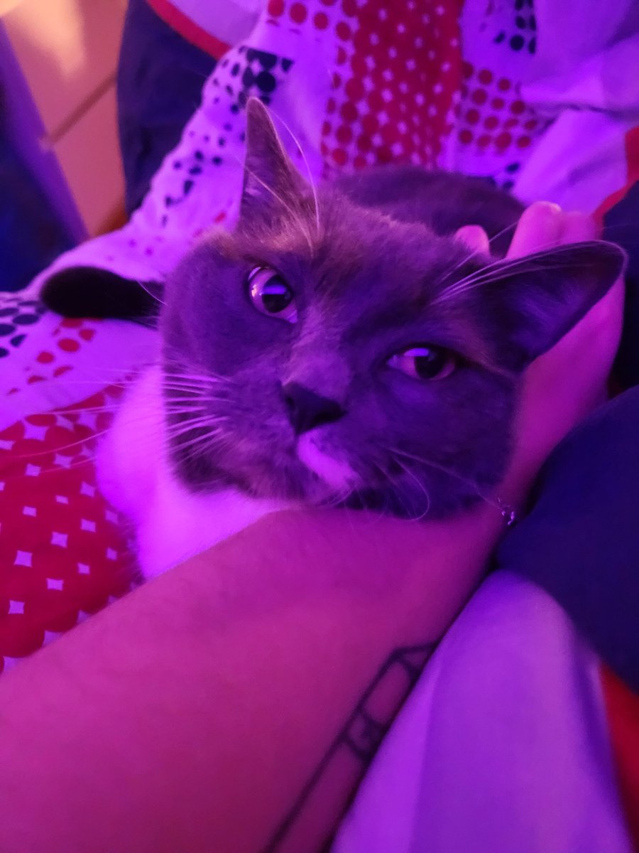 Oui moi aussi je t'aime pims