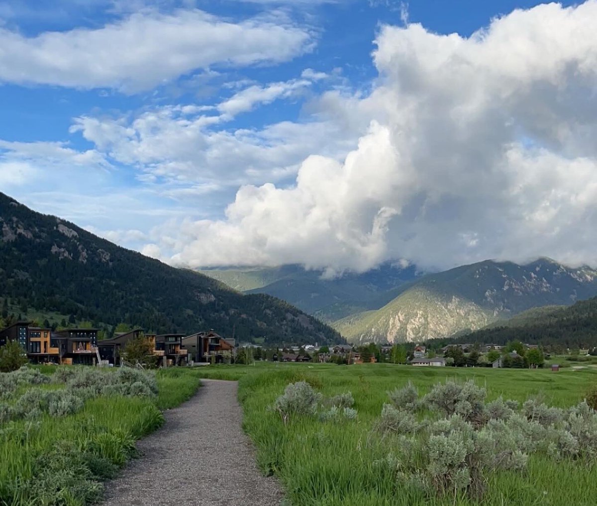 Driplomat's tweet image. 