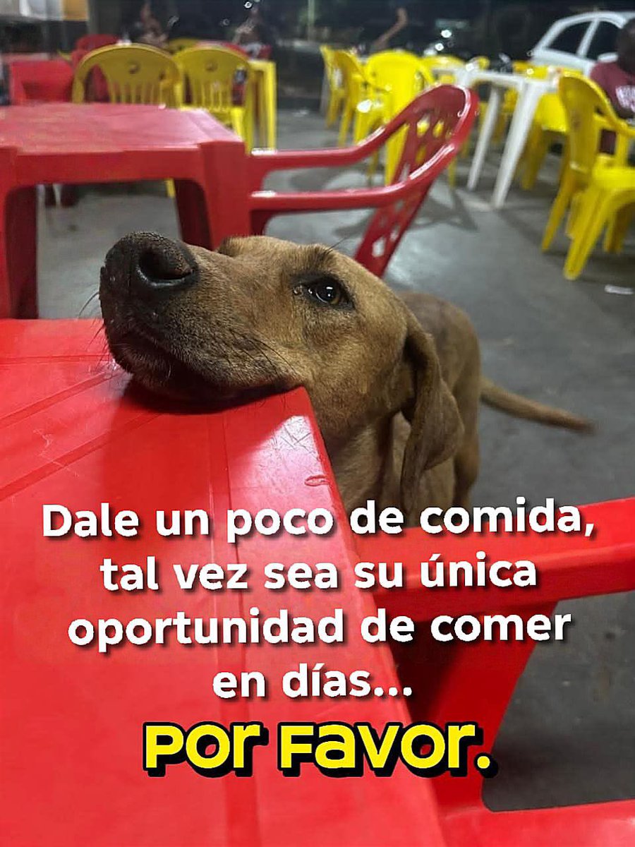 Más Ciencia (@msciencia2) on Twitter photo 