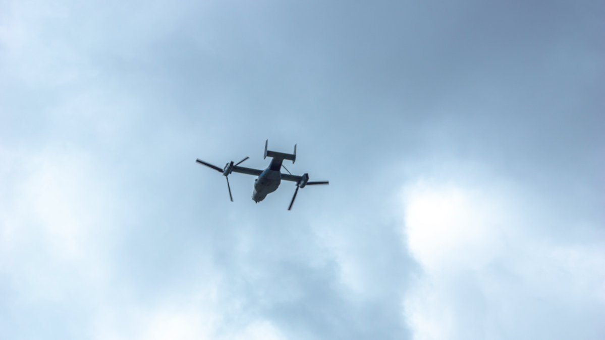 Osprey just flew overhead WSW 2:45PM