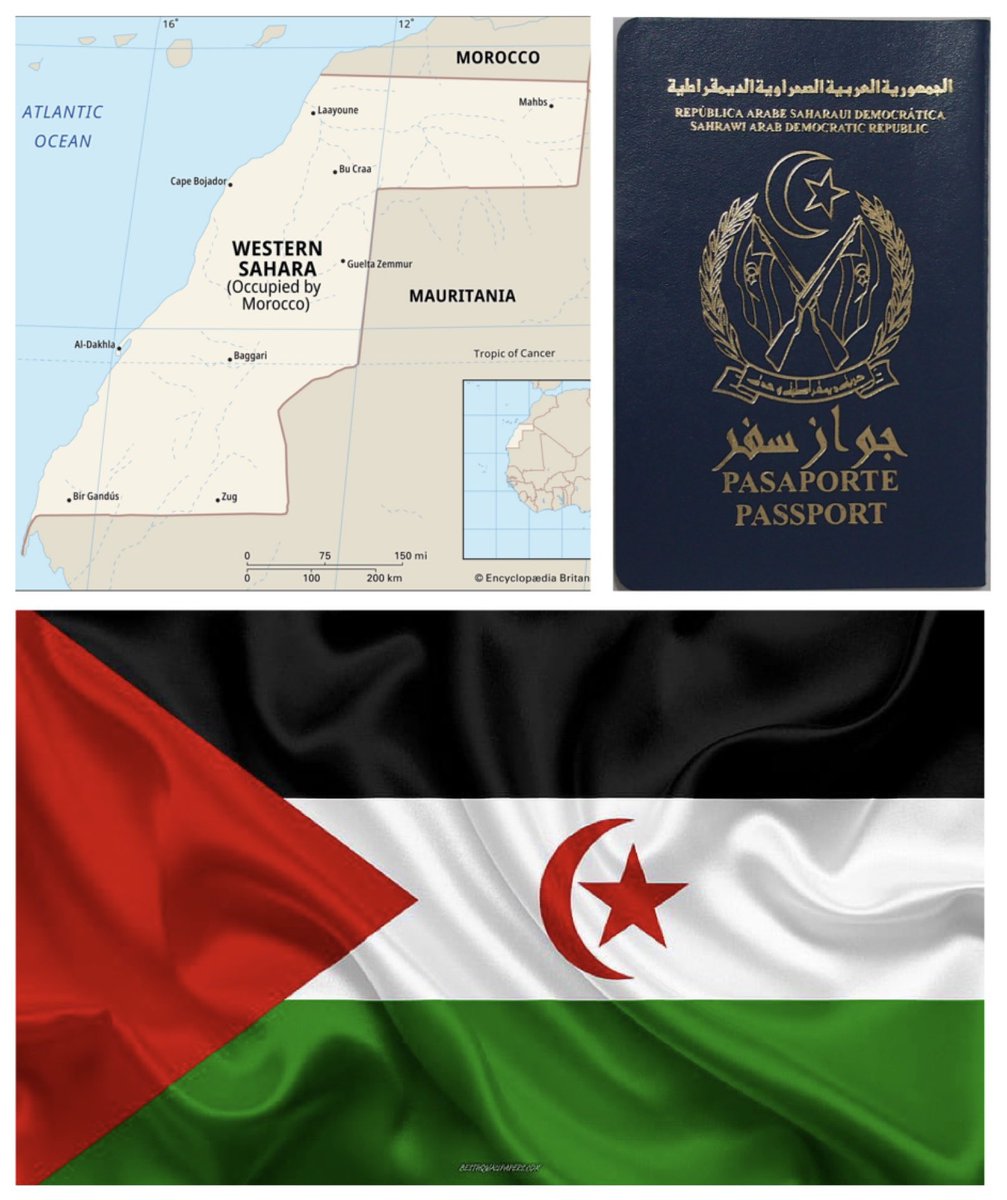 #AFCON2025 #AFCON #CAN2025 #LastColonyOfAfrica #SaharaLibre 🇪🇭 #FreeWesternSahara 🇪🇭