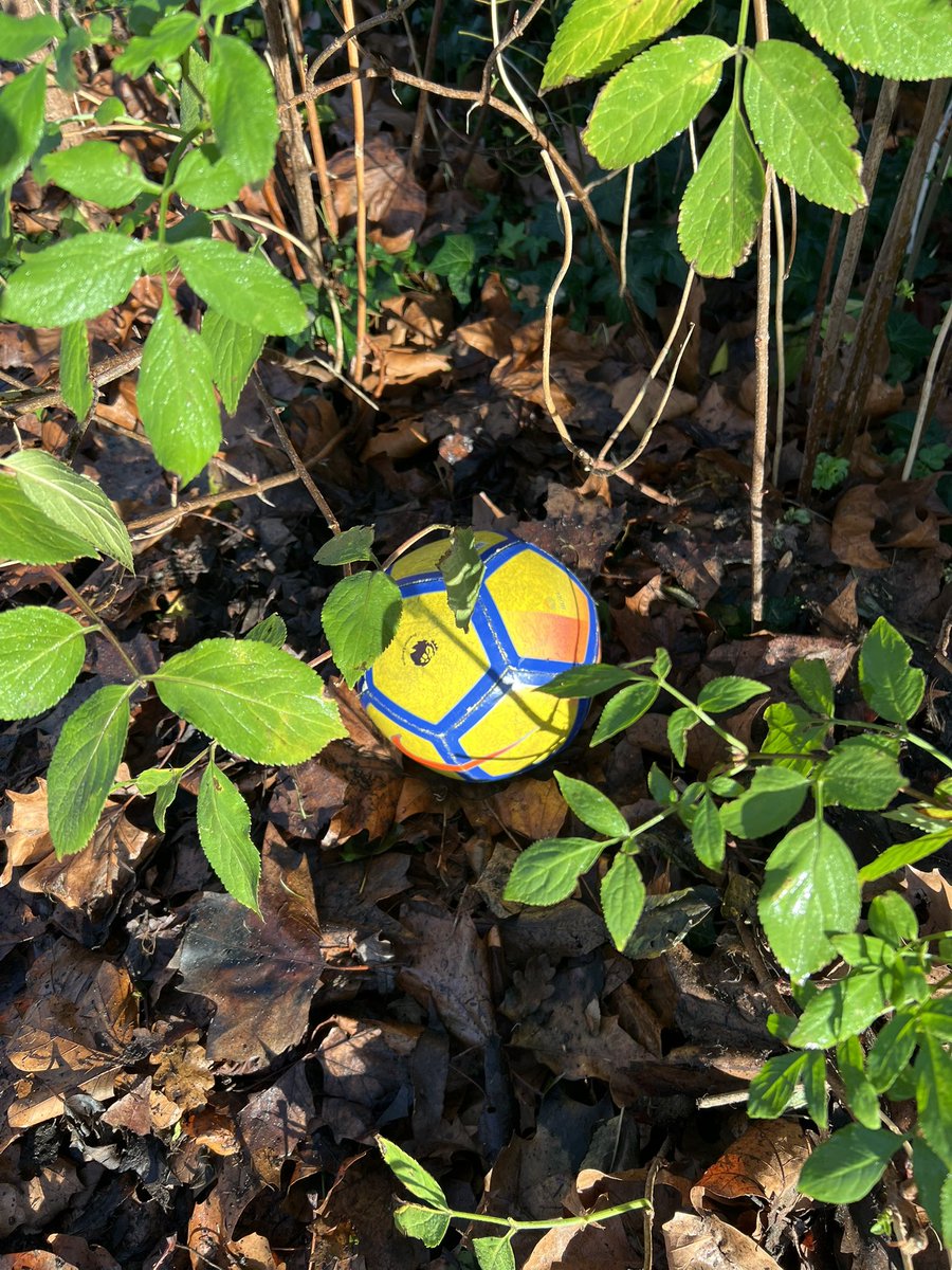 FUTSALJAM's tweet image. Futsal@jam advent calendar 
Lost balls day 21