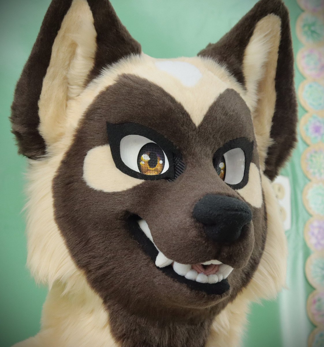 feralfacade's tweet photo. Canine fursuit head premade for sale! Squishy tpu gyroid base, that can  fit up to a 24" head.  I can add felt eyebrows if requested. 

 $800 OBO +shipping (US Only)  Email if interested. 

#fursuit #fursuitmaker #furry https://t.co/SymBwVX9r1