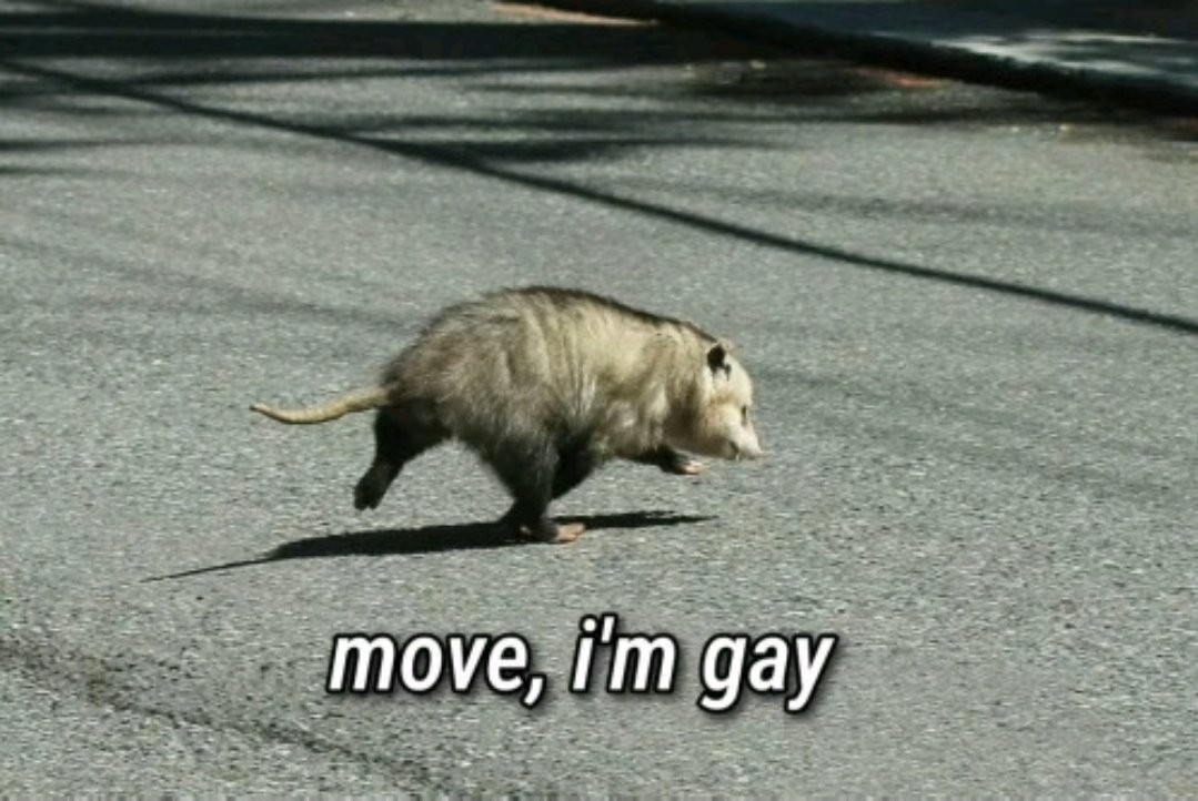 Love when my bestie introduces songs they like to me

And now they fucking infest my brain LOL 
<a href="/Rayne_Deer/">Rayne</a>  I BLAIM YOU, GIVE ME ALL THESE GOOD AAA SONGS AND THEY LIVE IN MY HEAD RENT FREE LOL