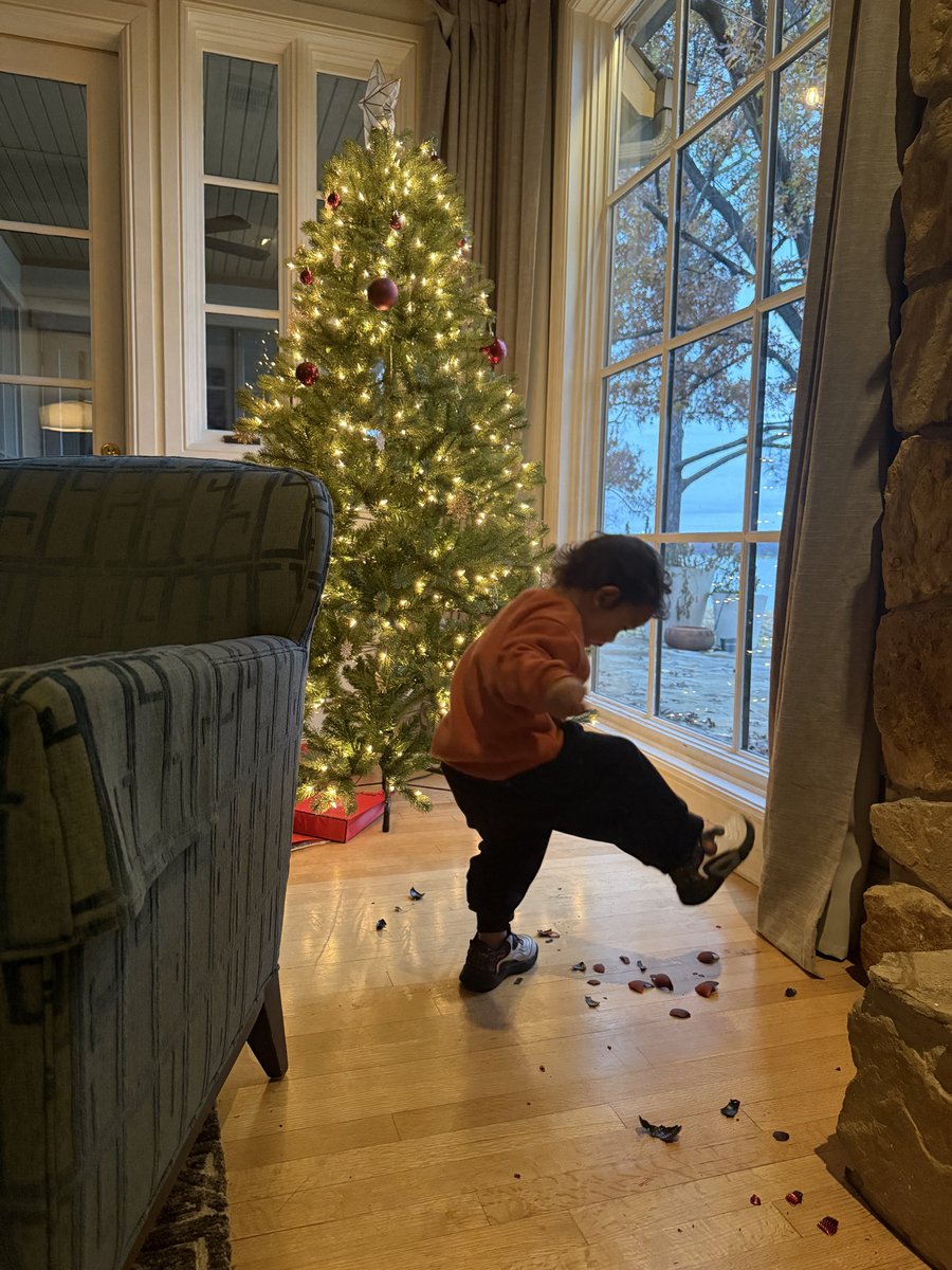 The Christmas ball cannot survive after the little boy lands in a few hours.      

I am worried about whether the Christmas tree can survive until Merry Christmas!