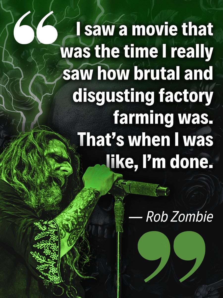 Once you see the truth, there's no going back. 💔 👉 The truth they don't  want you to see: https://t.co/8igX4EcdaL 👀 #quote #quotes #veganquote  #vegans #vegancelebrities, image size:900x1200