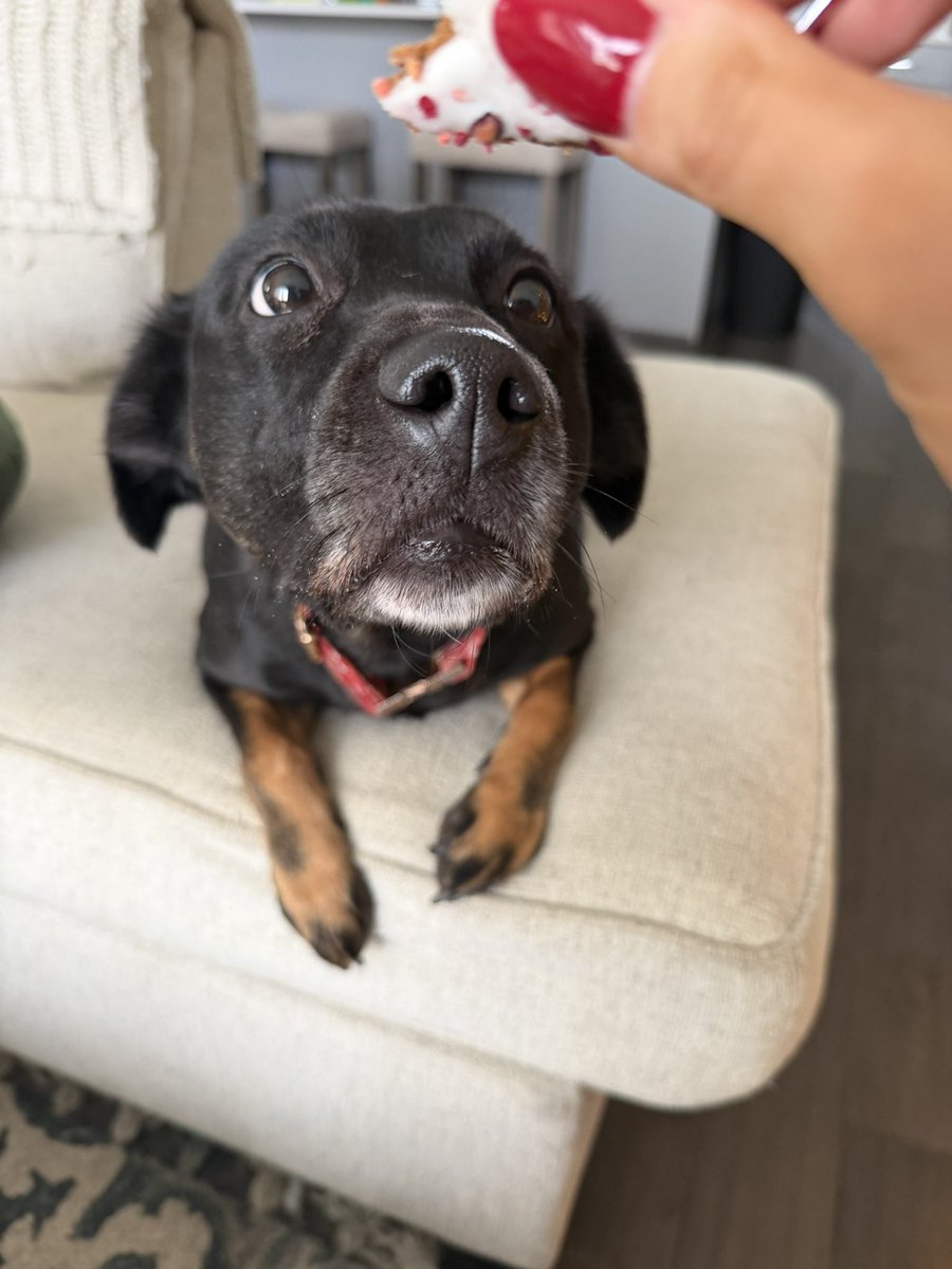 donny warbucks 💸 tweet media