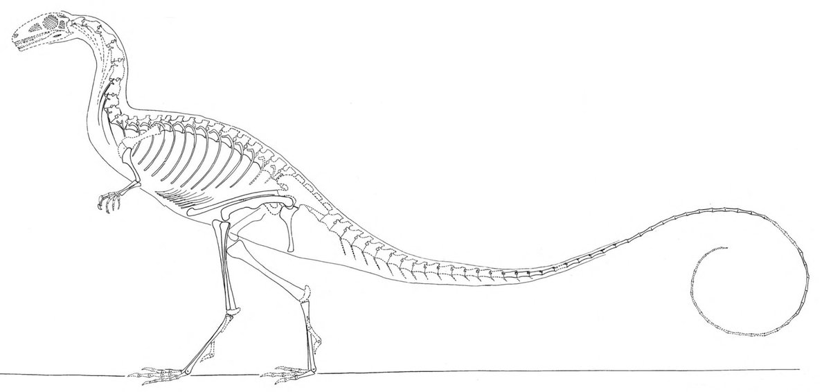 Podokesaurus Project tweet media